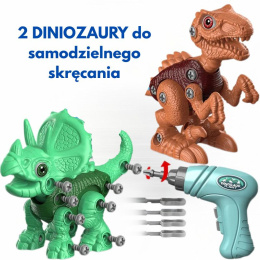 Zestaw Dinozaury DIY