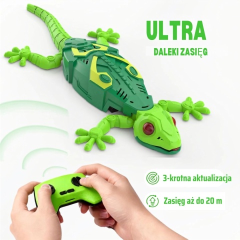 Gekon zdalnie sterowany chodzący po ścianie