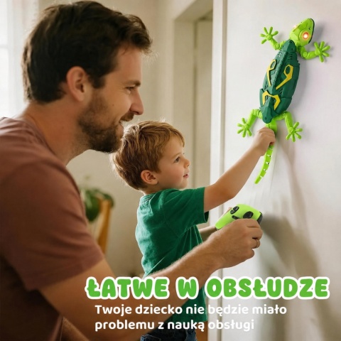 Gekon zdalnie sterowany chodzący po ścianie