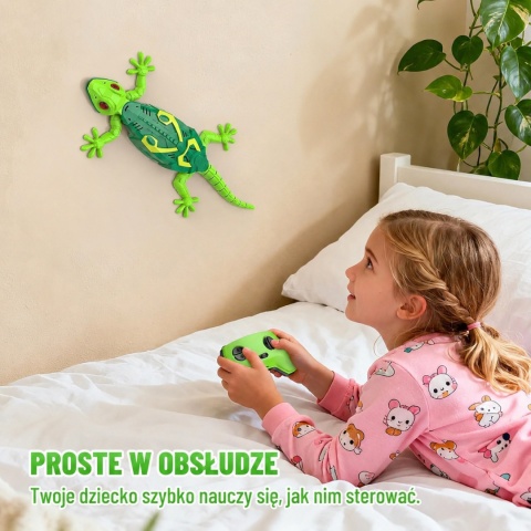 Gekon zdalnie sterowany chodzący po ścianie