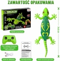 Gekon zdalnie sterowany chodzący po ścianie