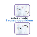Kotek u lekarza