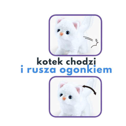 Kotek u lekarza Kotek u lekarza